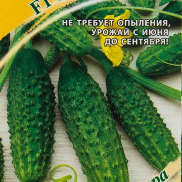 Огурцы Брейк F1 Отзывы Фото