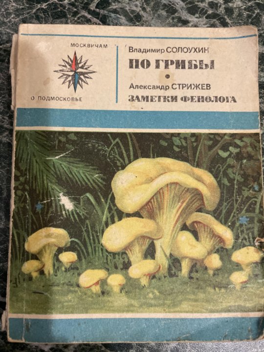 Купить Большой Справочник Грибов В Интернет Магазине