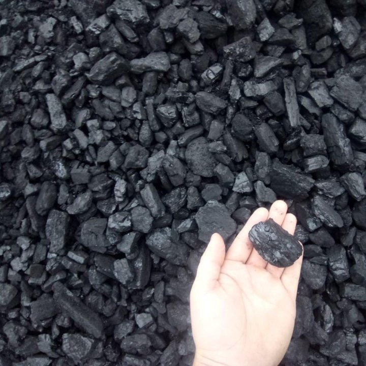 Где Купить Уголь В Казани