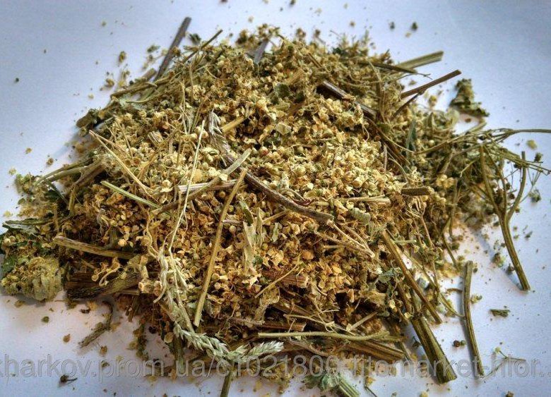 Корни Сабельника Таволги Купить Корни Сабельника Таволги Купить