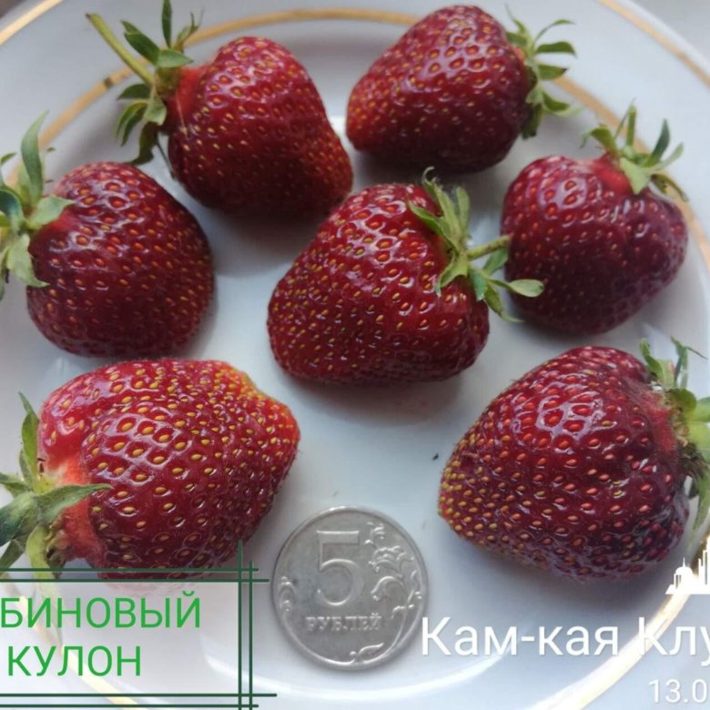 Рубиновый Кулон Клубника Фото — Картинки фотографии