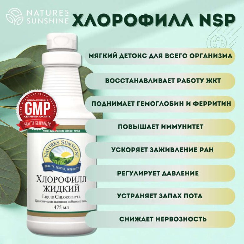 Хлорофилл Купить В Аптеке Цена