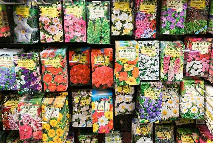 Где Купить Семена Цветов Отзывы