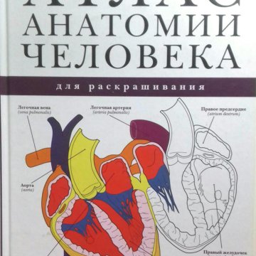 Анатомия книги атласы. Атлас по анатомии. Анатомия человека атлас раскраска. Анатомия раскраска книга. Атлас по анатомии человека для детей 3-4 лет.