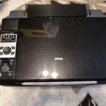 Принтер цветной EPSON