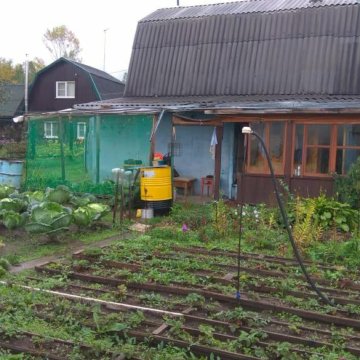 Купить Дачу В Снт Трансмашевец Барнаул