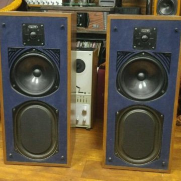 kef 204