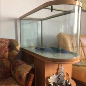 Купить Аквариум В Ростовской Области На Авито