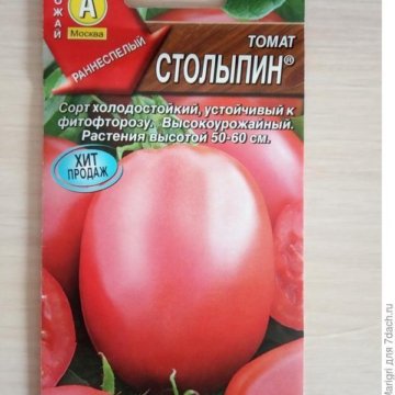Сорт помидор столыпин. Томат Столыпин 20 шт. Столыпин сорт томатов.