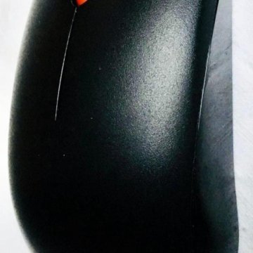 Мышь компьютерная