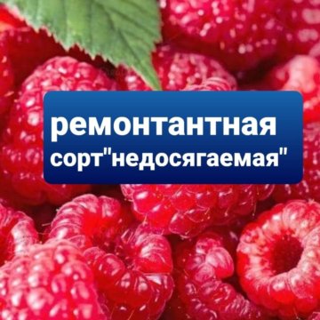 Малиновый Дон вайдберис.