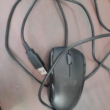 Мышь компьютерная Genius