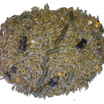 Зерносмесь для крс. Зерносмесь для крс