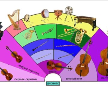 Схема симфонического оркестра картинки