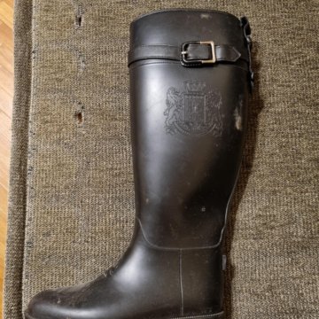 Резиновые сапоги