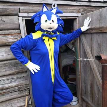 Новогодний Костюм Соника Новогодний Костюм Соника
