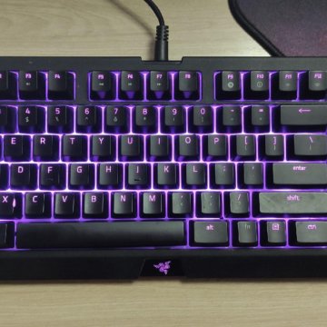 Razer blacwidow TE chroma v2 (orange switches)