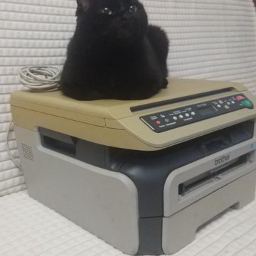 Принтер, сканер Brother