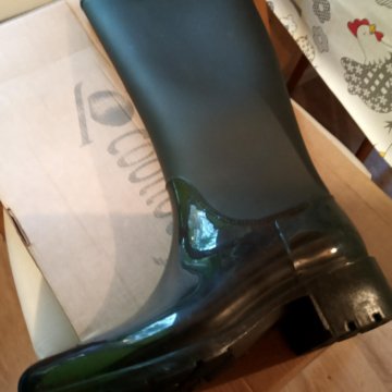 Сапоги резиновые