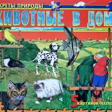 Книга животные в доме. Книга животные в доме. Книга животные в доме. Книга животные в доме. Книга я познаю мир животные.