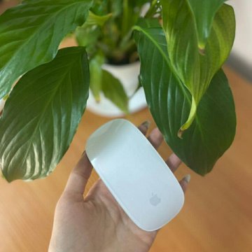 Мышь компьютерная беспроводная Apple Magic Mouse