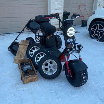 White siberia trike