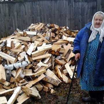 Пенсионеры в деревне. Старики на даче. Бабушка с дровами. Ручная бензопила. Дед с топором.