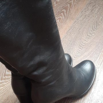 Сапоги демисезонные