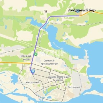 Кедровый бор сургут. Кедровый бор сургут. Кедровый бор сургут. Сот кедр сургут. Кедровый бор сургут.