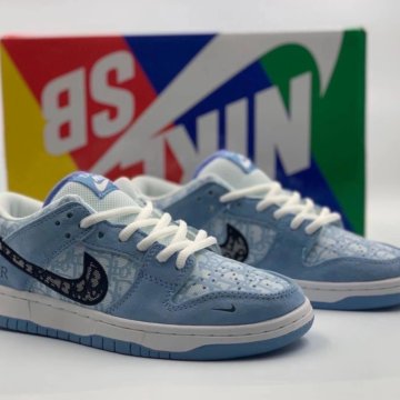 Nike SB Dank low x Dior