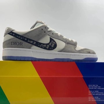 Nike SB Dank low x Dior