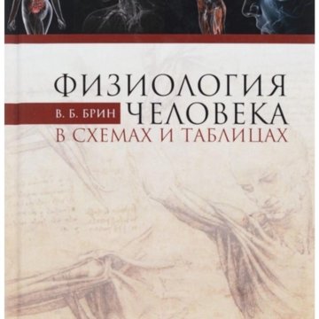 Брин в б физиология человека в схемах и таблицах