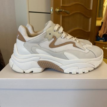 Кроссовки ASH