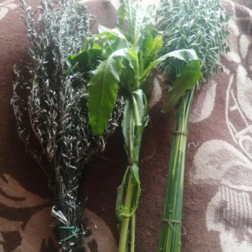 Сухоцвет чертополох полынь зверобой пижма душица о