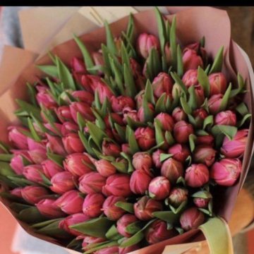 Луковица тюльпанов оптом и в розницу