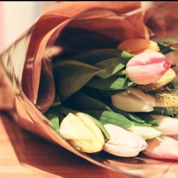 Луковица тюльпанов оптом и в розницу