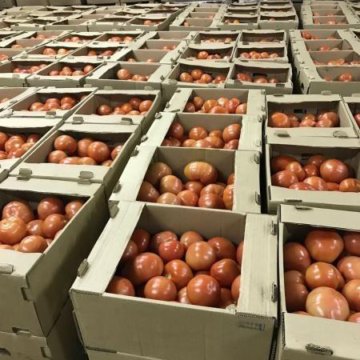 Помидоры,огурцы, картофель