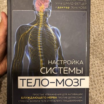 Книга тело мозг