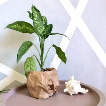 Дифенбахия Высота 45 см D9 см Отросток в пл ст