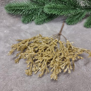 Ветка туи блестящая