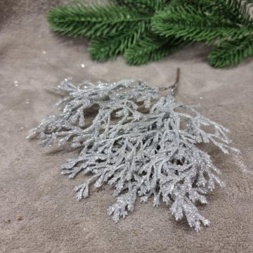 Ветка туи блестящая