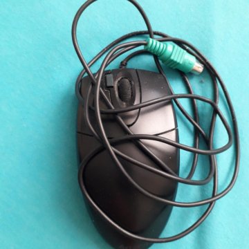 Мышь компьютерная