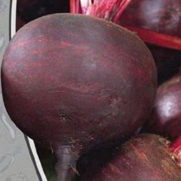 Свекла 1 кг помидоры 1 5. Свекла водан f1. Свекла свежая. Свекла двусемянная тсха. Свекла 1 кг помидоры 1 5.