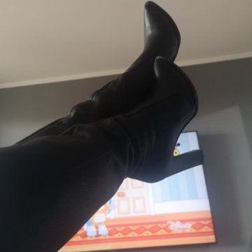 Сапаги ботфорты