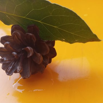 Продаю аккаунт в роблокс