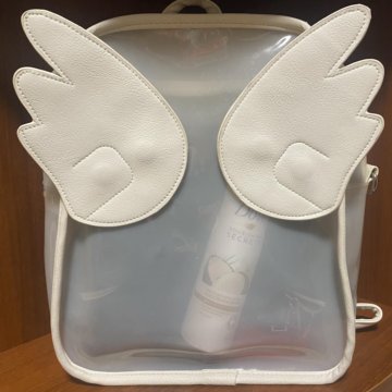 Полупрозрачный рюкзак с крылышками