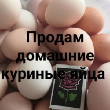 Объявление о продаже яиц домашних образец