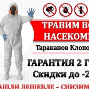 профессиональная обработка от насекомых. мастер травли. дезинсекция визитка. дезинсекция от клопов в квартире. обработка от клопов.