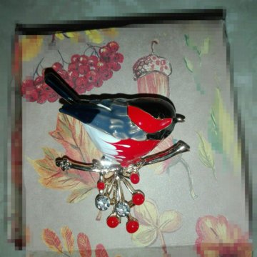 Брошь «Снегирь»,в подарочной упаковке