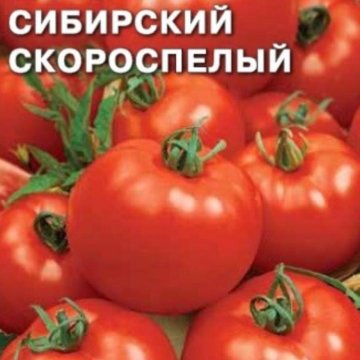 Томаты Сибирские Скороспелые Описание Сорта Фото